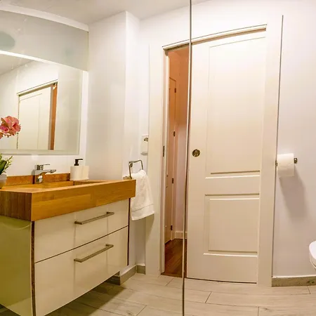 Apartment Santa Paula Loft Malaga
